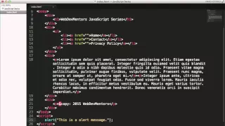 Alert function in Javascript