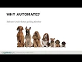 The Missing Link in Test Automation Intro to Automated Visual Testing