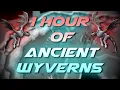 Slaying Ancient Wyverns Testing OSRS Wiki Money Making Methods