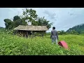 Download Lagu CEO Leaves City for the forest to Restore Abandoned Old House | Decided to quit his job to stay