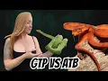 Green Tree Python Vs Amazon Tree Boa The Ultimate Showdown