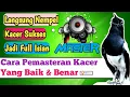 Download Lagu Cara Pemasteran Kacer Yang Baik dan Benar Agar Cepat Masuk