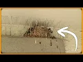 There s A Flaw With These Spikes OFFO Bird Spikes Review - Pros Cons