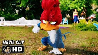 Download Woody Vs Party People Scene | WOODY WOODPECKER GOES TO CAMP (2024) Movie CLIP HD MP3