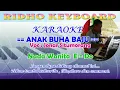 Download Lagu Karaoke + Lirik Anak Buha Baju Nada Wanita E=Do