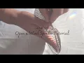 How to set up a Wind Spinner Tutorial