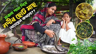 এতো দাম দিয়ে নদীর মাছ কিনতে ইচ্ছে হয় না | Village life with Shampa