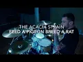 Feed a Pigeon Breed a Rat - The Acacia Strain - Drum Cover