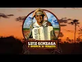 Download Lagu Luiz Gonzaga - Seleção Forrozin Aguniado 2022 Pra Paredão ( Luiz o Poderoso Chefão, Dj Melk )