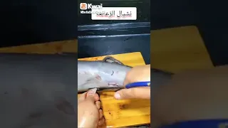 طريقه تنظيف القرموط دندنها