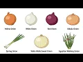 Every ONION And Where it Originated From EXPLAINED in 7 Minutes