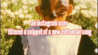 New leaked cottontail song