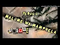 Malome wa Mamphela ( Brian Bomba ) Mix - Tebogo