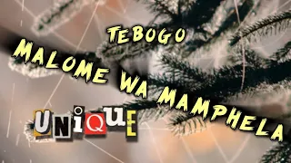 malome wa mamphela brian bomba mix tebogo