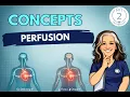 Perfusion in Nursing Recognizing Early Signs Prioritizing Care