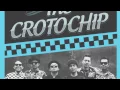 THE CROTOCHIP VIDEO PROFILE