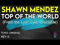 Shawn Mendes - Top of the World (From the Lyle, Lyle, Crocodile) - Karaoke Instrumental