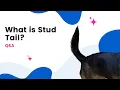 What is Stud Tail