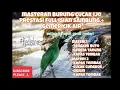 Download Lagu MASTERAN CUCAK IJO PRESTASI FULL ISIAN SAMBUNG/TEMBAKAN/BESETAN+GEMERICIK AIR, VIRALL 2025