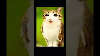 2025 2024 2023 2022 2021 2020 