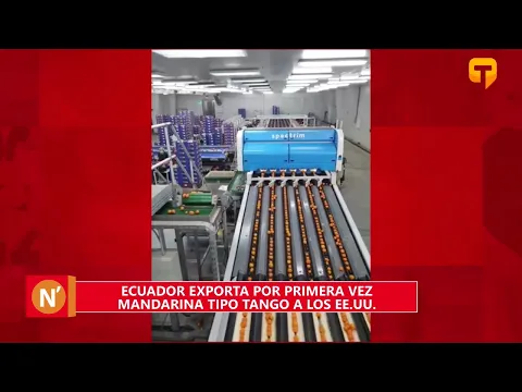 Ecuador exporta por primera vez mandarina tipo Tango a los EE.UU.