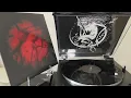 Download Lagu Kargvint - Seelenwerks Fortgang 2010 Vinyl FULL ALBUM
