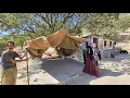 Download Lagu 🏔️A spectacular narrative of the nomadic migration of Kulthum: 🚛From loading gear to pitching a tent