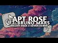 Download Lagu DJ APT ROSE FT. BRUNO MARS X KEWER KEWER X MELODY MASHUP VIRAL TIKTOK FULL SONG RIKI MAHENDRA