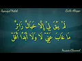 Download Lagu Lirik Sholawat Laila Alayya/ليلی علي (Syauqul Habib) Teks Arab Berharokat