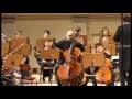 Catalin Rotaru - Tchaikovsky, Rococo Variations