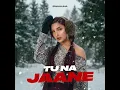 Tu Na Jaane
