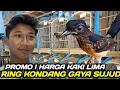 Lagu PROMO ! MURAI TROTOL JAHAT RING KONDANG DARI PANGANDARAN CALON HARGA MAHAL
