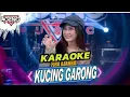 Download Lagu KUCING GARONG - Fira Azahra ft Ageng Music ( Karaoke Tanpa Vocal )
