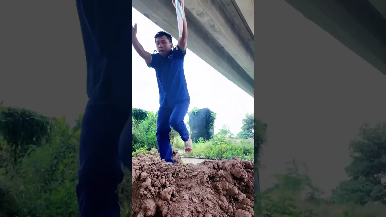 Dẫn đường | Tân ối á