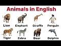 Download Lagu 100 Animal Names in English | Learn Animals Vocabulary with Pictures | English for All Ages