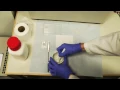 Powder X Ray Diffraction familiarisation