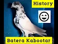 Download Lagu Sialkoti Battery Kabootar History | Batera kabootar ki Pehchan