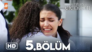 Kırgın Çiçekler 5 Bölüm HD 