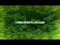Judah & the Lion - Heart Medicine