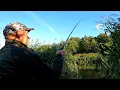 Download Lagu W takie bajkowe dni biorą MEDALOWE RYBY !!! Na rzeczny feeder !!!