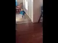 Fetch Brother