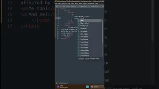 Universal Selector in CSS internal css tutorial