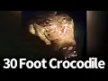 30 Foot Crocodile Seen Again in Philippines 