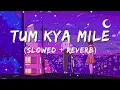 TUM KYA MILE (SLOWED + REVERB) | ARIJIT SINGH | ROCKY AUR RANI KI PREM KAHANI |