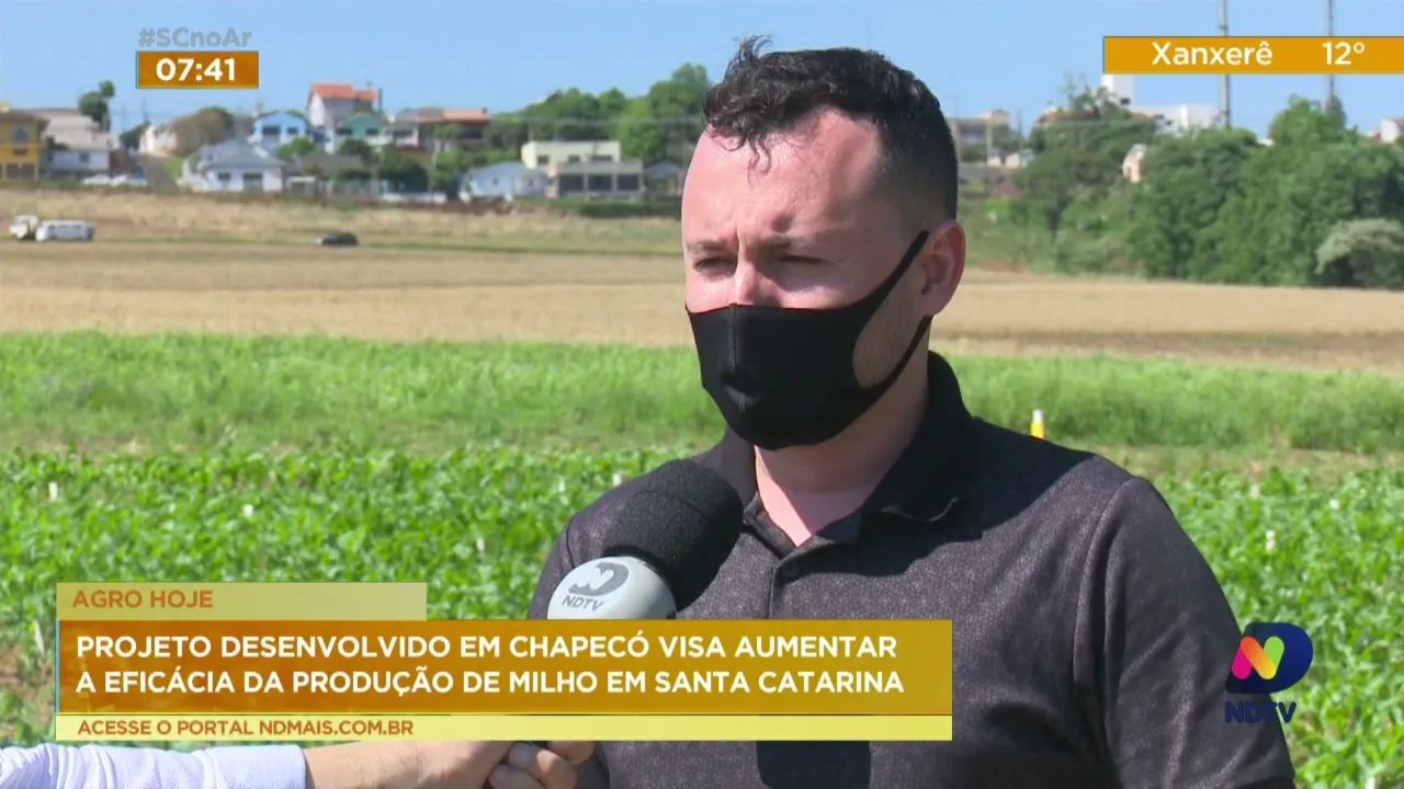 Projeto desenvolvido em Chapecó visa aumentar a eficácia da produção de milho