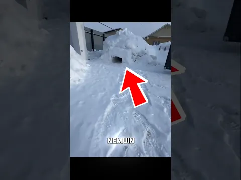 Nekat Merayap di Timbunan Salju, Hasilnya Malah Gini?! 🥶❄️ #shortvideo