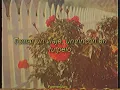 Mirarte-daniel me estas matando [letra]