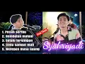 Download Lagu VIRAL TIKTOK SYAHRIYADI COVER PECAH SERIBU || FULL ALBUM
