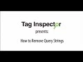 Tag Inspector - How to Remove Query Strings