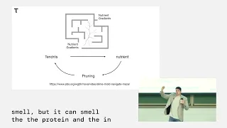 Thumbnail of the podcast